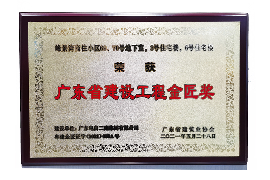 峰景湾商住小区69、70号地下室，3号住宅楼，6号住宅楼-广东省建设工程金匠奖